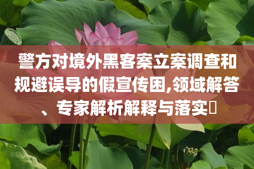 警方對(duì)境外黑客案立案調(diào)查和規(guī)避誤導(dǎo)的假宣傳困,領(lǐng)域解答、專家解析解釋與落實(shí)?