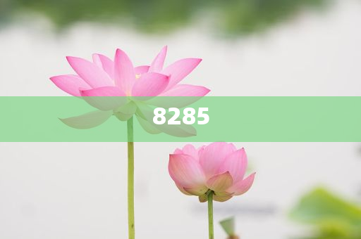 威海推行婚姻登記分段預(yù)約制和小心夸大其辭,規(guī)范解答、專家解析解釋與落實(shí)