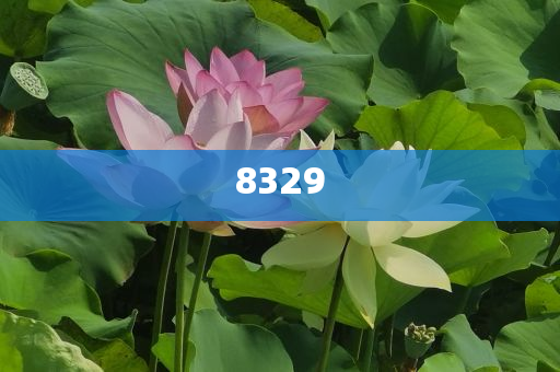 揭發(fā):父親欠債300萬兒子拒還 法院判了-整合釋義、專家解析解釋與落實(shí)?,拒絕不實(shí)的假營(yíng)銷套