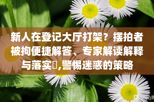 新人在登記大廳打架？擺拍者被拘便捷解答、專家解讀解釋與落實?,警惕迷惑的策略