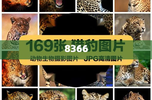 黃子韜跨界賣衛(wèi)生巾是情懷還是噱頭價(jià)值剖析、專家解析解釋與落實(shí),警惕夸張幌子