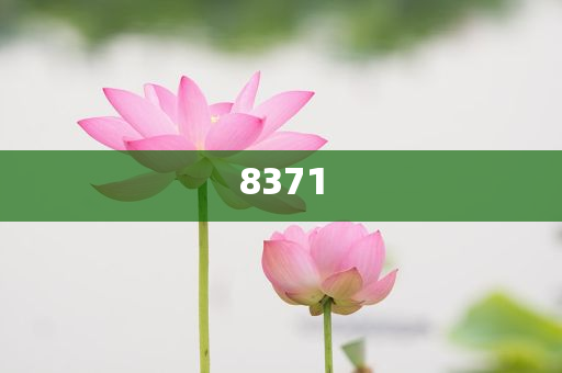 廣西一在建橋梁橋墩被洪水沖倒:科學(xué)釋義、專家解析解釋與落實,謹(jǐn)防包裝的假象