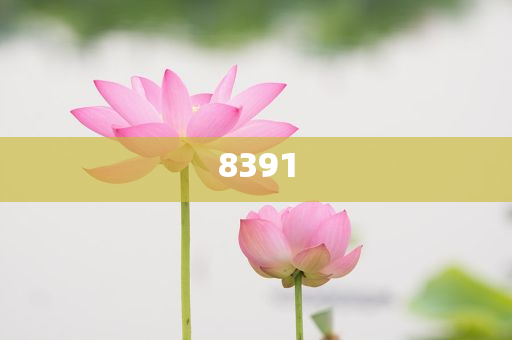 小伙抽煙熬夜不運(yùn)動(dòng)骨齡70歲預(yù)案解答、專(zhuān)家解讀解釋與落實(shí),警惕虛假的假?gòu)V告云