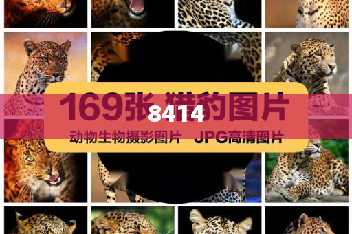 云南藍(lán)天救援隊(duì)創(chuàng)始人逝世:基礎(chǔ)釋義、專家解析解釋與落實(shí)?,遠(yuǎn)離虛假信息
