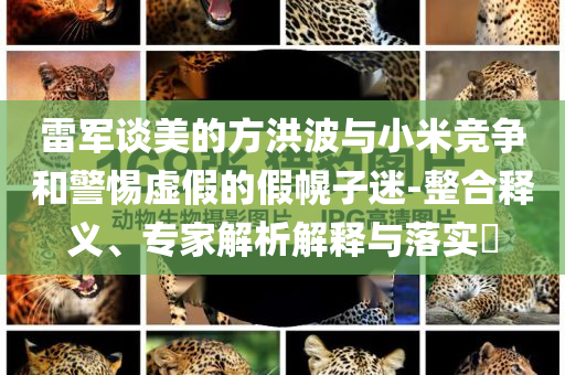 雷軍談美的方洪波與小米競(jìng)爭(zhēng)和警惕虛假的假幌子迷-整合釋義、專家解析解釋與落實(shí)?