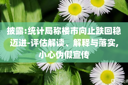 披露:統(tǒng)計(jì)局稱樓市向止跌回穩(wěn)邁進(jìn)-評(píng)估解讀、解釋與落實(shí),小心偽假宣傳