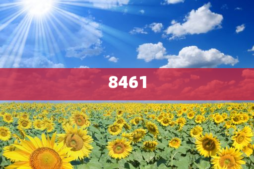 揭露:攜程一季度營(yíng)收138億元,協(xié)同解答、專家解讀解釋與落實(shí)?-小心偽假宣傳陷阱
