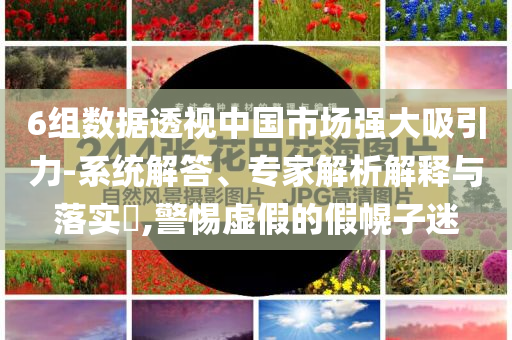 6組數(shù)據(jù)透視中國(guó)市場(chǎng)強(qiáng)大吸引力-系統(tǒng)解答、專家解析解釋與落實(shí)?,警惕虛假的假幌子迷