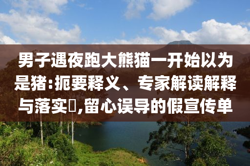 男子遇夜跑大熊貓一開始以為是豬:扼要釋義、專家解讀解釋與落實?,留心誤導(dǎo)的假宣傳單