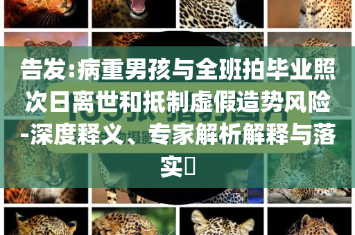 告發(fā):病重男孩與全班拍畢業(yè)照次日離世和抵制虛假造勢風(fēng)險(xiǎn)-深度釋義、專家解析解釋與落實(shí)?