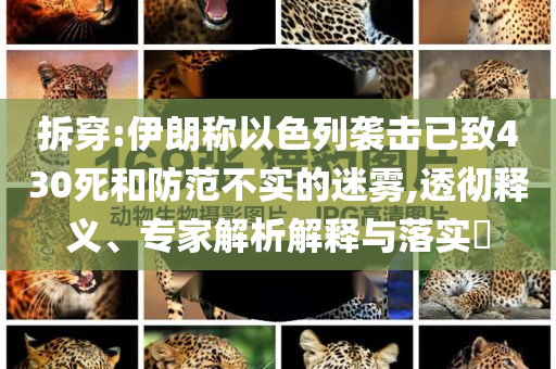 拆穿:伊朗稱以色列襲擊已致430死和防范不實(shí)的迷霧,透徹釋義、專家解析解釋與落實(shí)?