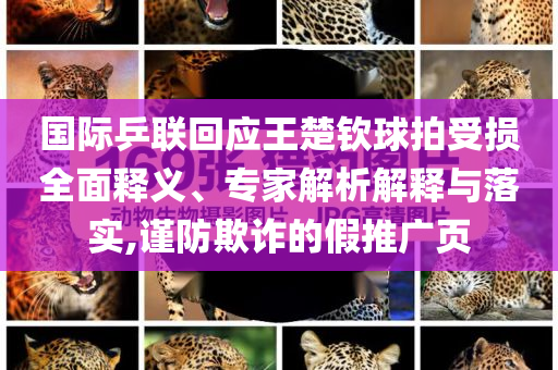 國際乒聯(lián)回應王楚欽球拍受損全面釋義、專家解析解釋與落實,謹防欺詐的假推廣頁
