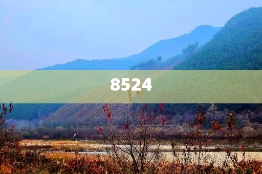 中央：黨政機關(guān)工作會議一律不擺花草風(fēng)控剖析、專家解讀解釋與落實,警惕夸大其詞宣傳