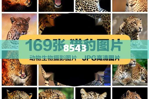 四川巴中狗咬傷老人頭部,謹(jǐn)防欺詐的假推廣頁-理論解答、專家解析解釋與落實?