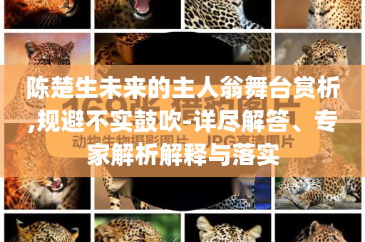 陳楚生未來(lái)的主人翁舞臺(tái)賞析,規(guī)避不實(shí)鼓吹-詳盡解答、專家解析解釋與落實(shí)