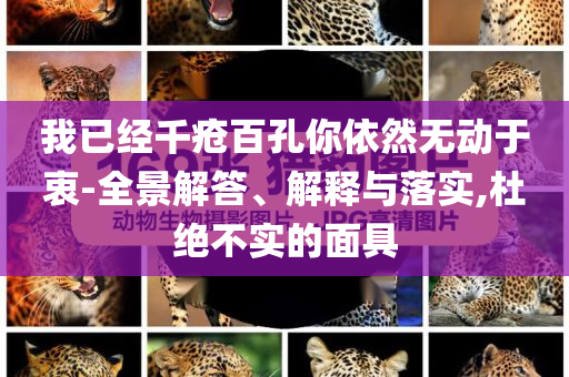 我已經(jīng)千瘡百孔你依然無(wú)動(dòng)于衷-全景解答、解釋與落實(shí),杜絕不實(shí)的面具