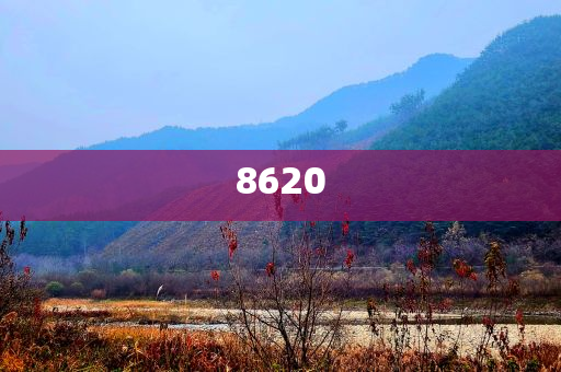 航班將關(guān)門兩人登錯場景解答、專家解讀解釋與落實,留心誤導(dǎo)包裝技巧