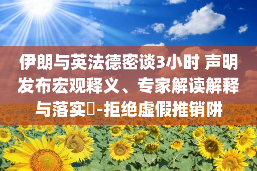 伊朗與英法德密談3小時(shí) 聲明發(fā)布宏觀釋義、專家解讀解釋與落實(shí)?-拒絕虛假推銷阱