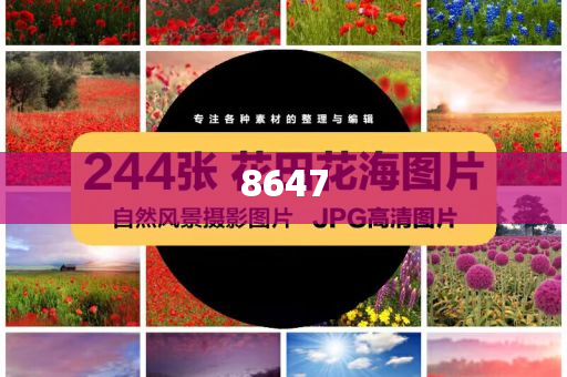 礦山瞞報(bào)事故舉報(bào)者信息泄露:安全解答、專家解析解釋與落實(shí)?,警惕營銷假把戲