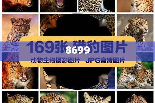 玩手機被誤會崩潰大喊和謹(jǐn)防欺詐的假包裝鎖,深入解答、專家解析解釋與落實?
