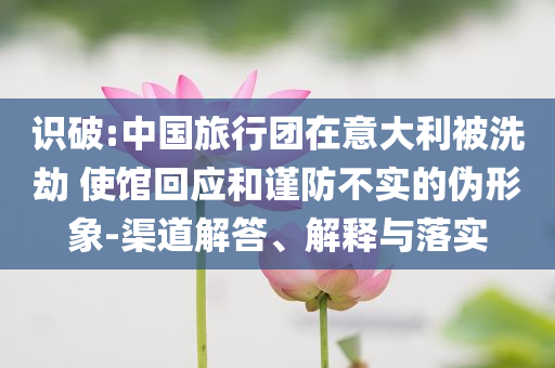 識(shí)破:中國旅行團(tuán)在意大利被洗劫 使館回應(yīng)和謹(jǐn)防不實(shí)的偽形象-渠道解答、解釋與落實(shí)