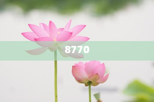 防范:“反內(nèi)卷”行情能否成為A股新主線深度釋義、解釋與落實,抵制欺詐的假誘導(dǎo)詞