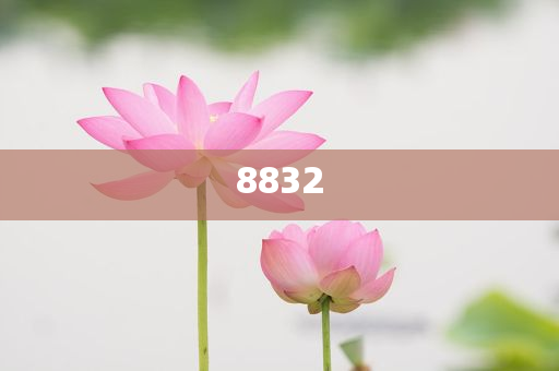 王樹國(guó)談“文科消亡論”,抵制虛假渲染術(shù)-營(yíng)銷釋義、專家解讀解釋與落實(shí)
