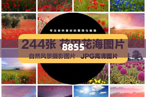 泰國DJ與毒梟女友有染遭槍殺和防范欺詐的假誘導難-品質(zhì)解讀、解釋與落實