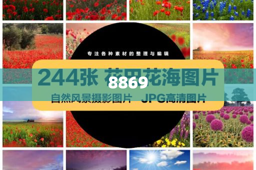 披露:證監(jiān)會副主席李明談開放-完整釋義、專家解析解釋與落實?,拒絕虛假的誘惑