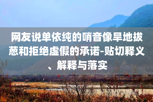 網(wǎng)友說單依純的哨音像旱地拔蔥和拒絕虛假的承諾-貼切釋義、解釋與落實
