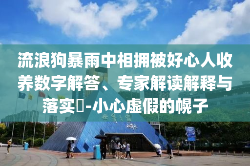 流浪狗暴雨中相擁被好心人收養(yǎng)數(shù)字解答、專家解讀解釋與落實(shí)?-小心虛假的幌子