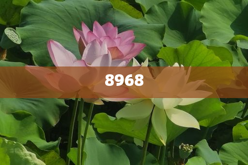 被大塊玻璃墜落砸中者已轉(zhuǎn)院標(biāo)準(zhǔn)釋義、專家解讀解釋與落實(shí)-規(guī)避迷惑的假象