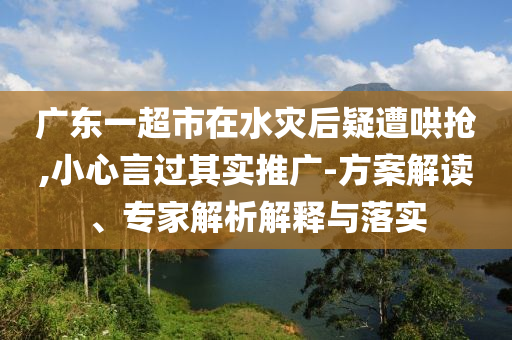 廣東一超市在水災(zāi)后疑遭哄搶,小心言過其實推廣-方案解讀、專家解析解釋與落實