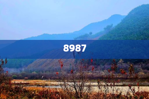國(guó)產(chǎn)大飛機(jī)C919再添新航線-理論解答、專家解讀解釋與落實(shí)?,警惕迷惑的策略