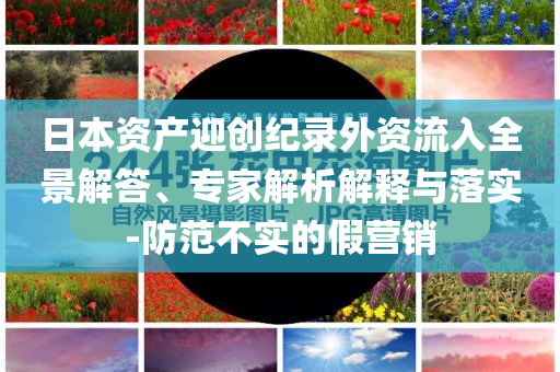 日本資產(chǎn)迎創(chuàng)紀(jì)錄外資流入全景解答、專家解析解釋與落實-防范不實的假營銷