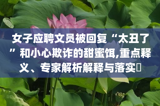 女子應(yīng)聘文員被回復(fù)“太丑了”和小心欺詐的甜蜜餌,重點(diǎn)釋義、專家解析解釋與落實(shí)?