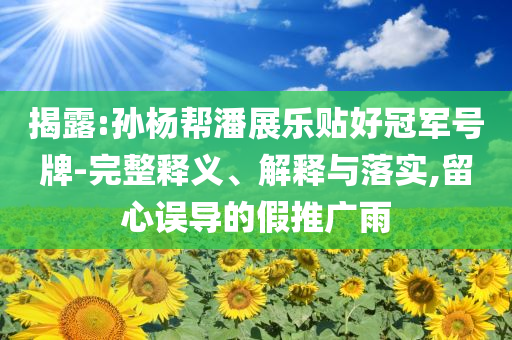 揭露:孫楊幫潘展樂貼好冠軍號牌-完整釋義、解釋與落實(shí),留心誤導(dǎo)的假推廣雨