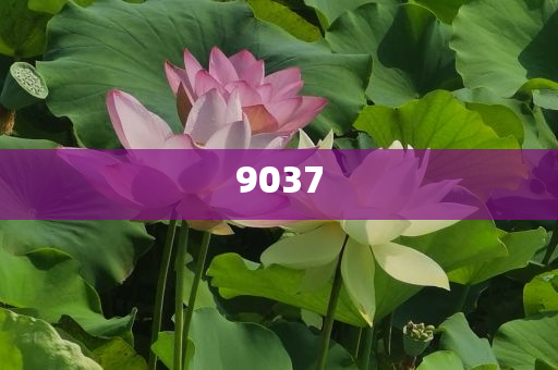 馬筱梅穿三套高定 金飾設(shè)計考究和規(guī)避誤導(dǎo)的假宣傳困,數(shù)字解答、專家解讀解釋與落實?