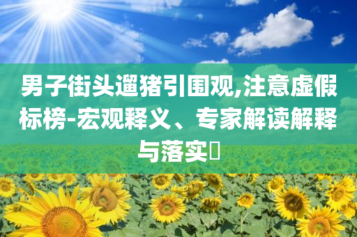 男子街頭遛豬引圍觀,注意虛假標(biāo)榜-宏觀釋義、專家解讀解釋與落實(shí)?