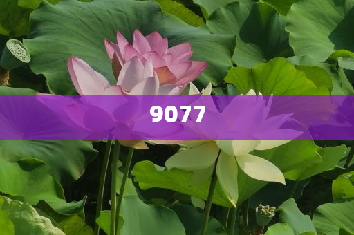 特朗普稱反美加稅10%,效能解讀、專家解析解釋與落實(shí)-謹(jǐn)防不實(shí)的偽形象