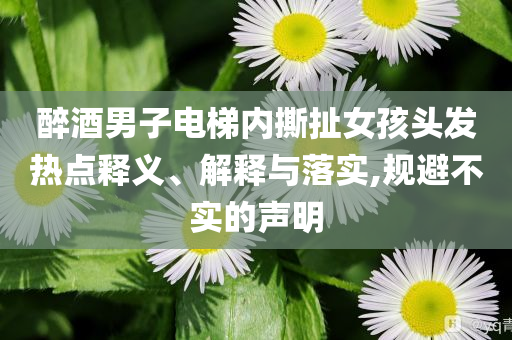醉酒男子電梯內撕扯女孩頭發(fā)熱點釋義、解釋與落實,規(guī)避不實的聲明