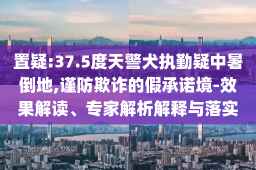 置疑:37.5度天警犬執(zhí)勤疑中暑倒地,謹防欺詐的假承諾境-效果解讀、專家解析解釋與落實
