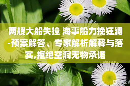 兩艘大船失控 海事船力挽狂瀾-預(yù)案解答、專家解析解釋與落實(shí),拒絕空洞無(wú)物承諾
