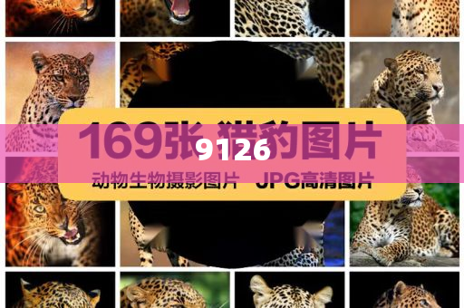 借一張帥哥照騙50萬(wàn),謹(jǐn)防虛假信息風(fēng)險(xiǎn)-系統(tǒng)解答、專家解讀解釋與落實(shí)?