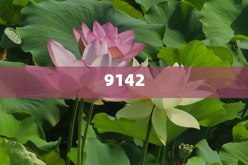 置疑:多家股份行高管任職資格密集獲批和防范欺詐的假誘導(dǎo)難-協(xié)同解答、解釋與落實(shí)