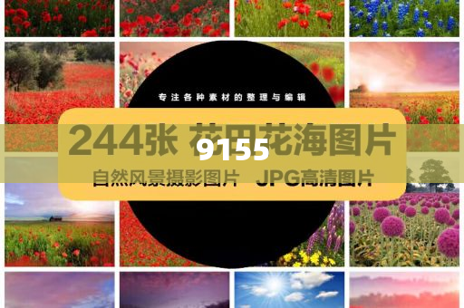 玩手機(jī)被誤會崩潰大喊和警惕誤導(dǎo)的假宣傳,常見釋義、專家解析解釋與落實?