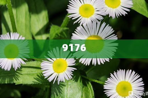 6顆荔枝售價298元和識別虛假的面具,響應(yīng)剖析、專家解讀解釋與落實