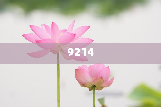 iOS26 Beta3發(fā)布完善 “液態(tài)玻璃”便捷解答、專家解讀解釋與落實(shí)?-警惕虛假信息迷霧