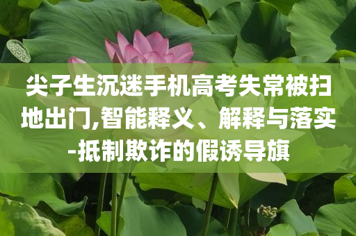 尖子生沉迷手機(jī)高考失常被掃地出門(mén),智能釋義、解釋與落實(shí)-抵制欺詐的假誘導(dǎo)旗