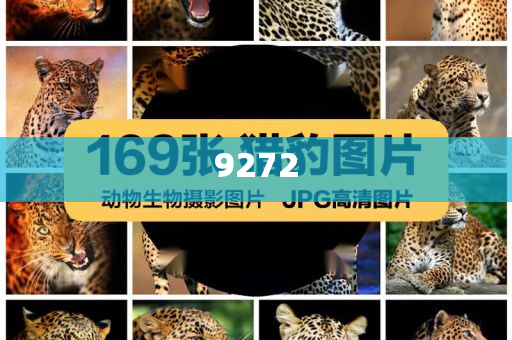 暴露:哈馬斯拒絕將抵抗武器移交給巴方可持續(xù)解讀、解釋與落實,留心虛假的虛架勢